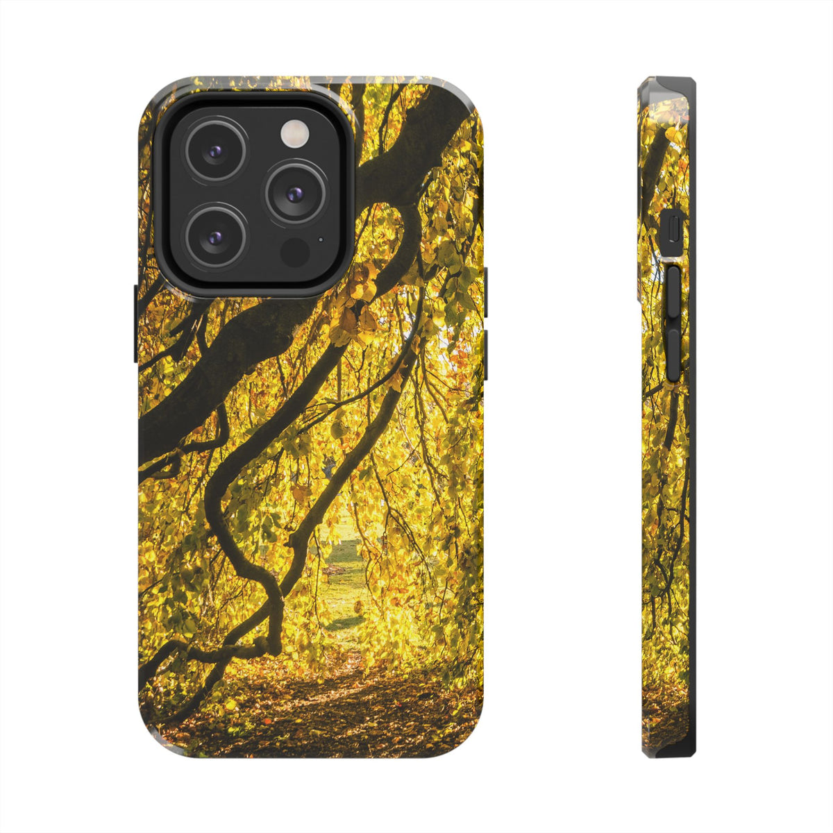 Yellow Leaves, Autumn Canopy Tough Phone Case - iPhone/Galaxy