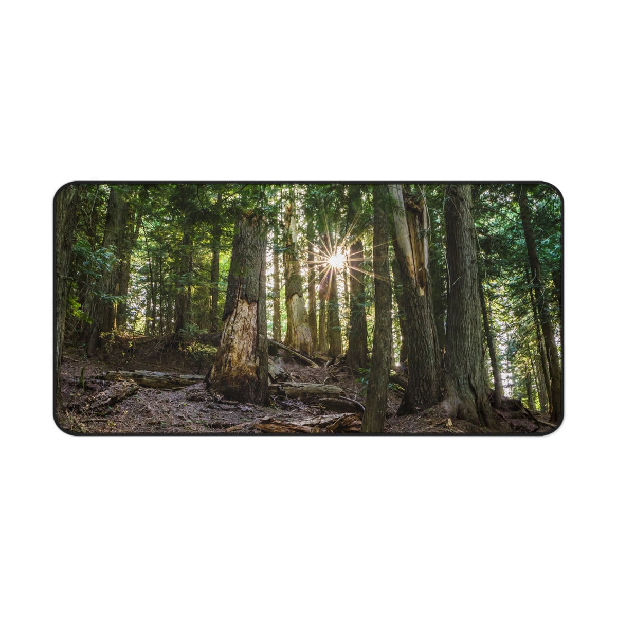 Cedar Forest Desk Mat - Sunlit Woods Gaming Mouse Pad - Extended Nature Keyboard Mat - Scenic Tree Workspace Decor