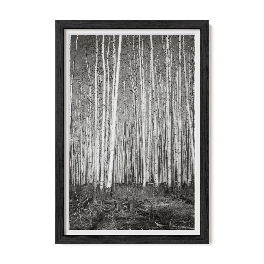 Frame Any Photo in the Shop - Lost Kat Photography