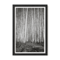 Frame Any Photo in the Shop - Lost Kat Photography