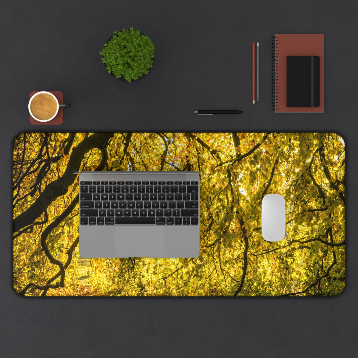 Golden Autumn Forest Desk Mat, Sunlit Tree Canopy Gaming Mouse Pad, Extended Nature Keyboard Pad Scenic Workspace Decor