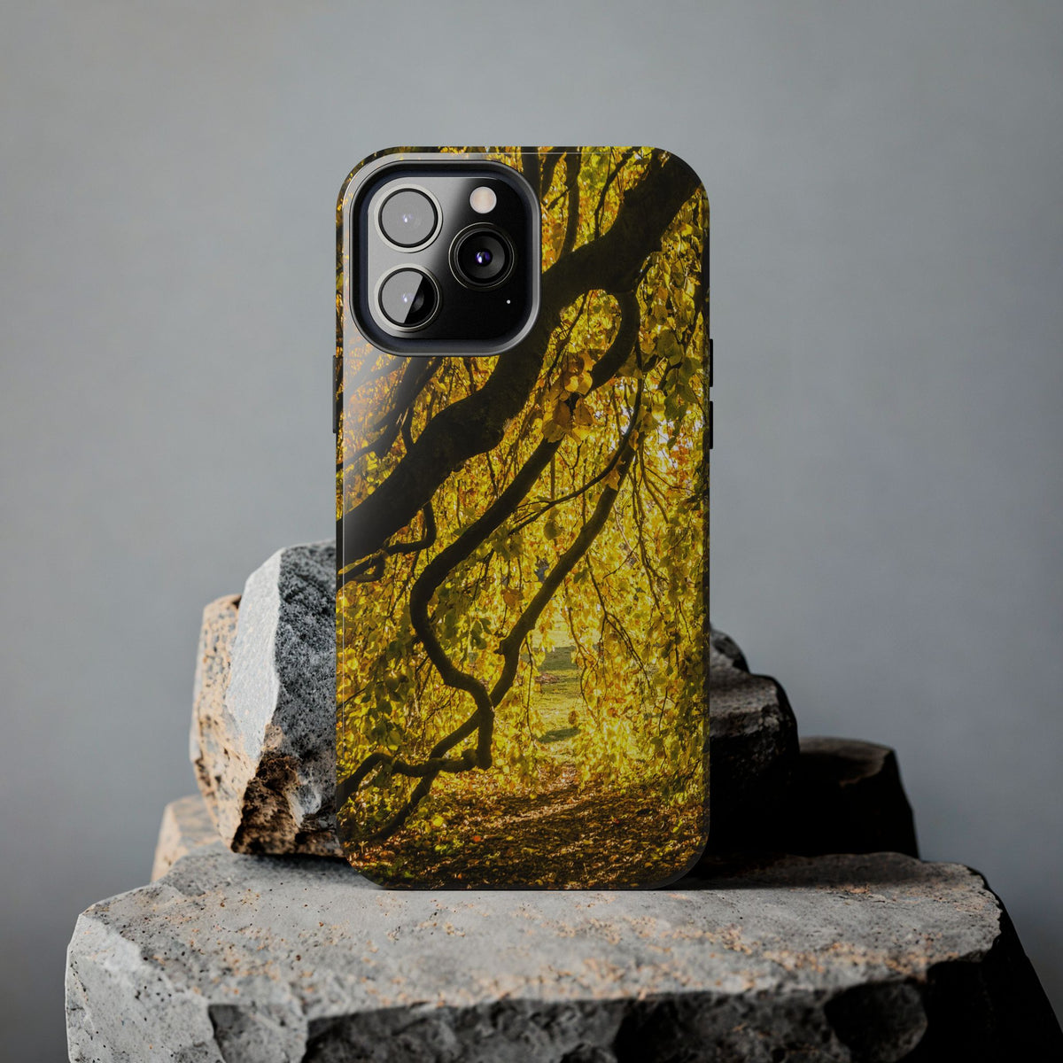 Yellow Leaves, Autumn Canopy Tough Phone Case - iPhone/Galaxy
