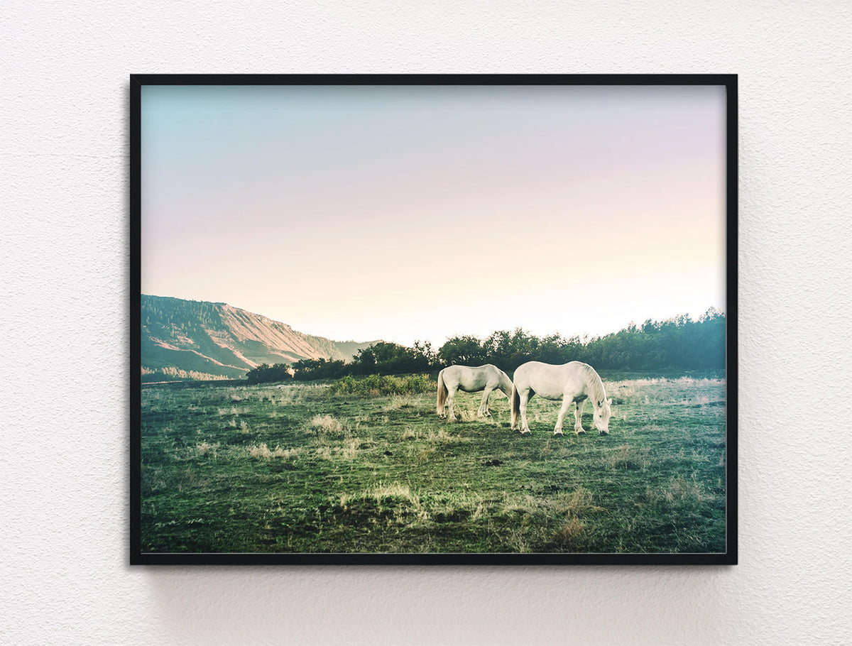 White Horses Photography Print, Colorado Sunset Wall Art