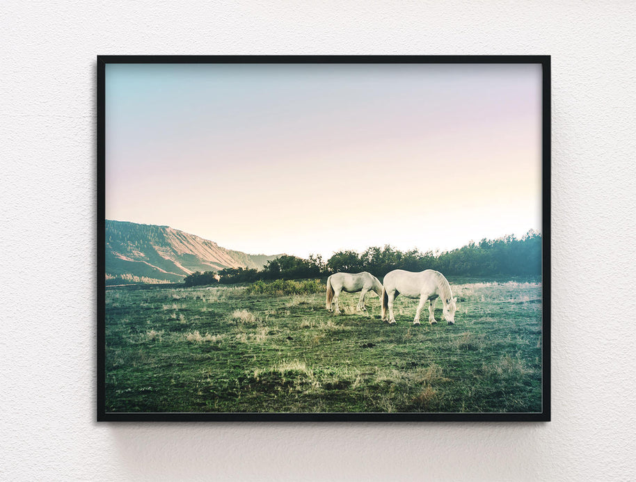 White Horses Photography Print, Colorado Sunset Wall Art