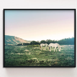 White Horses Photography Print, Colorado Sunset Wall Art