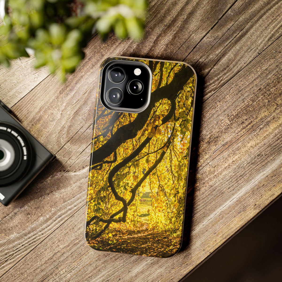 Yellow Leaves, Autumn Canopy Tough Phone Case - iPhone/Galaxy