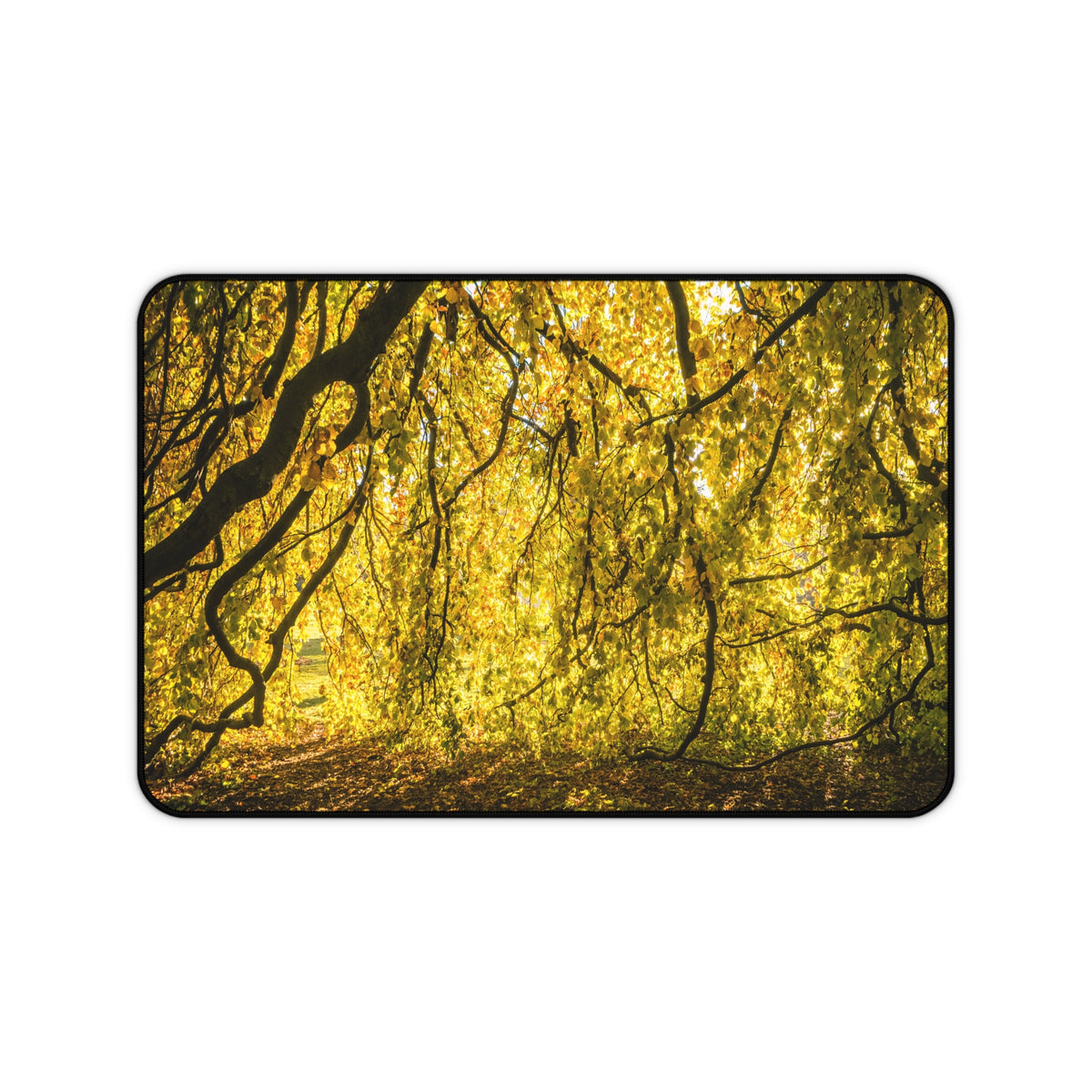 Golden Autumn Forest Desk Mat, Sunlit Tree Canopy Gaming Mouse Pad, Extended Nature Keyboard Pad Scenic Workspace Decor