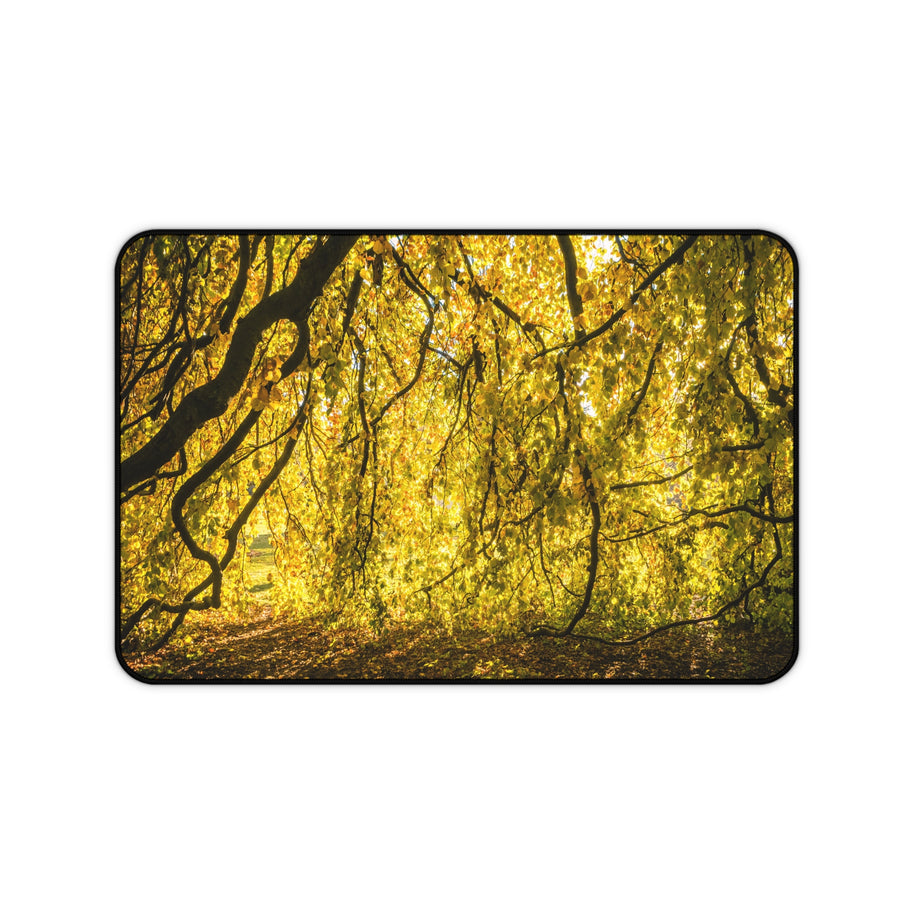 Golden Autumn Forest Desk Mat, Sunlit Tree Canopy Gaming Mouse Pad, Extended Nature Keyboard Pad Scenic Workspace Decor