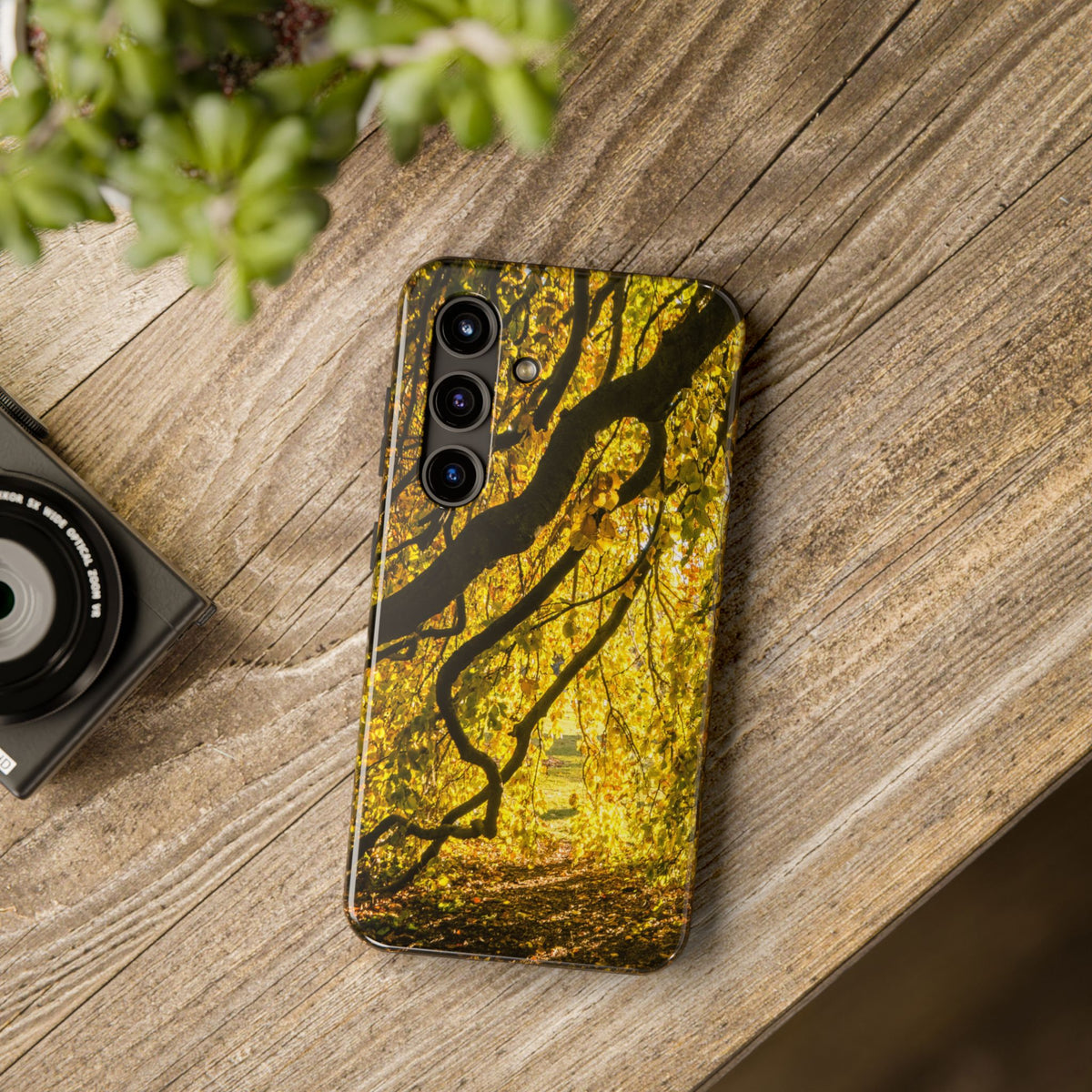 Yellow Leaves, Autumn Canopy Tough Phone Case - iPhone/Galaxy