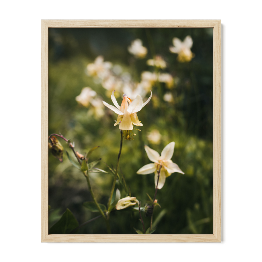 Frame Any Photo in the Shop - Lost Kat Photography