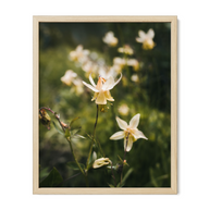 Frame Any Photo in the Shop - Lost Kat Photography