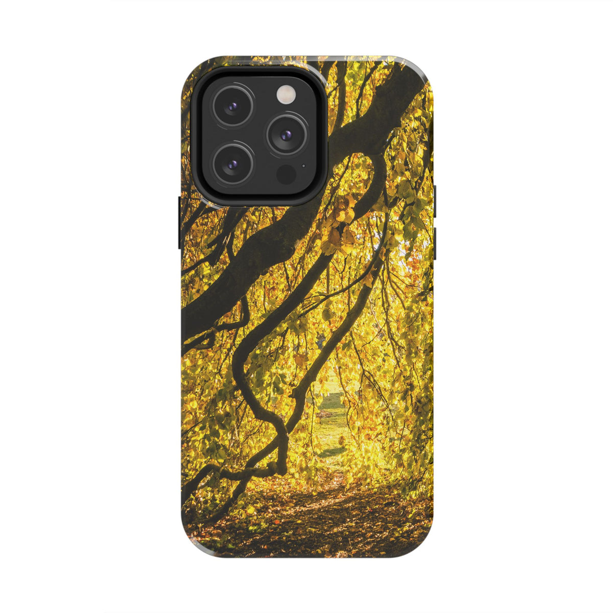 Yellow Leaves, Autumn Canopy Tough Phone Case - iPhone/Galaxy