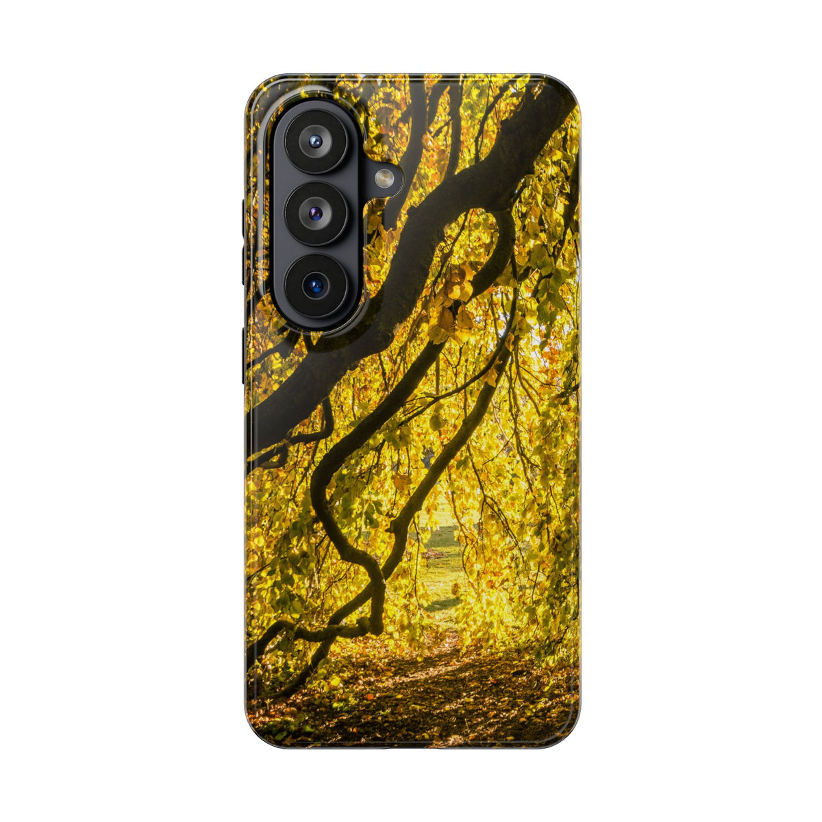 Yellow Leaves, Autumn Canopy Tough Phone Case - iPhone/Galaxy