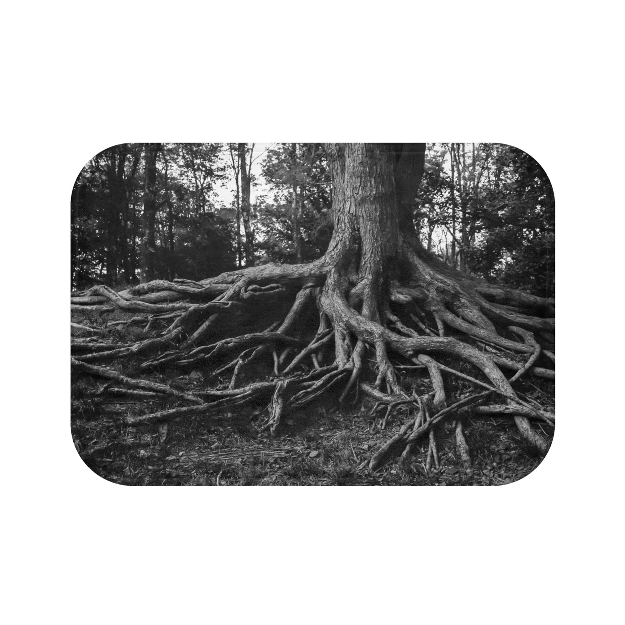 Tree Roots Bath Mat