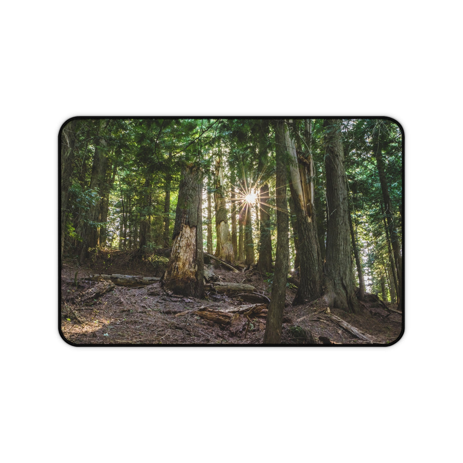 Cedar Forest Desk Mat - Sunlit Woods Gaming Mouse Pad - Extended Nature Keyboard Mat - Scenic Tree Workspace Decor