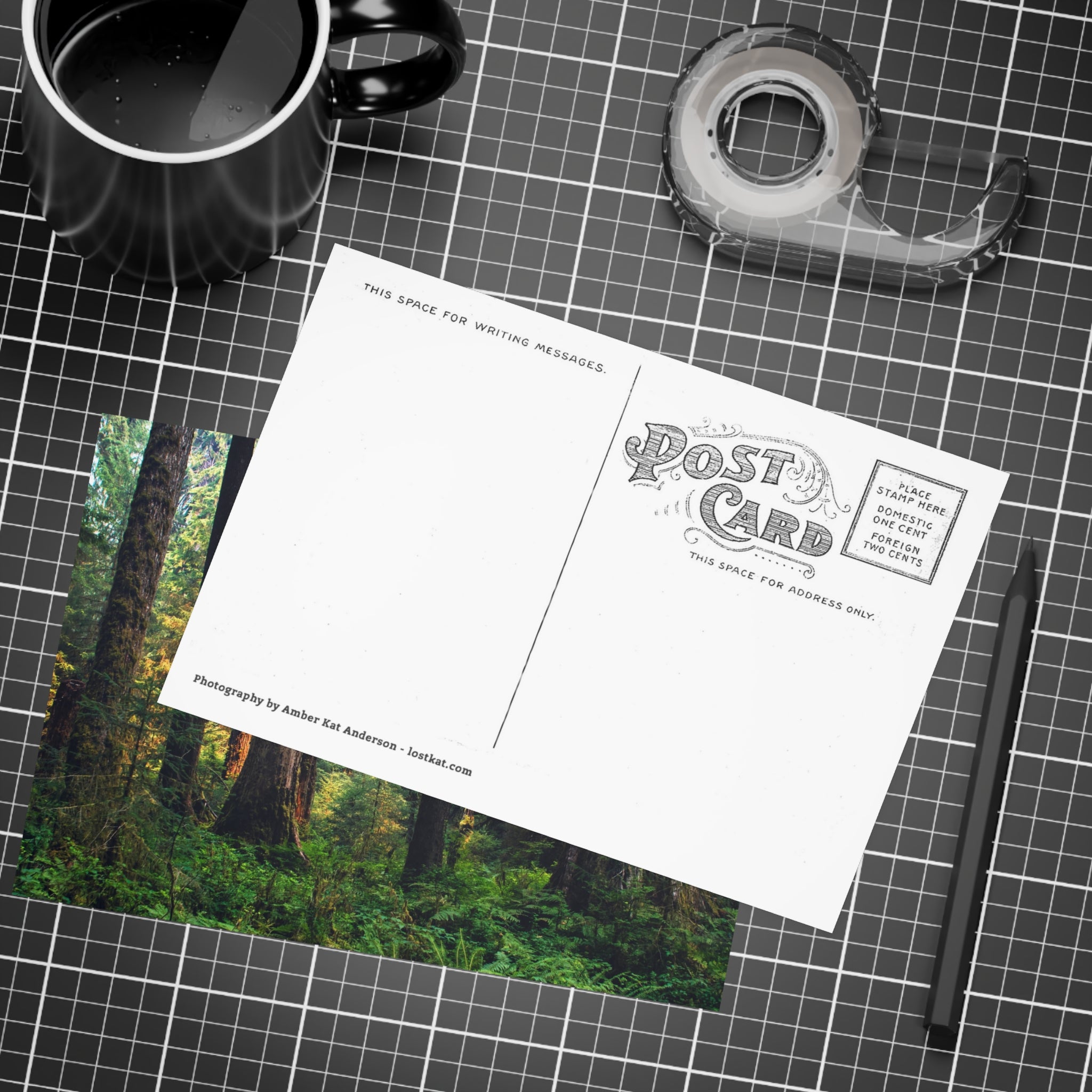 Olympic National Park Cedar Forest Postcard Bundle - Postcrossing Deal