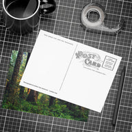 Olympic National Park Cedar Forest Postcard Bundle - Postcrossing Deal