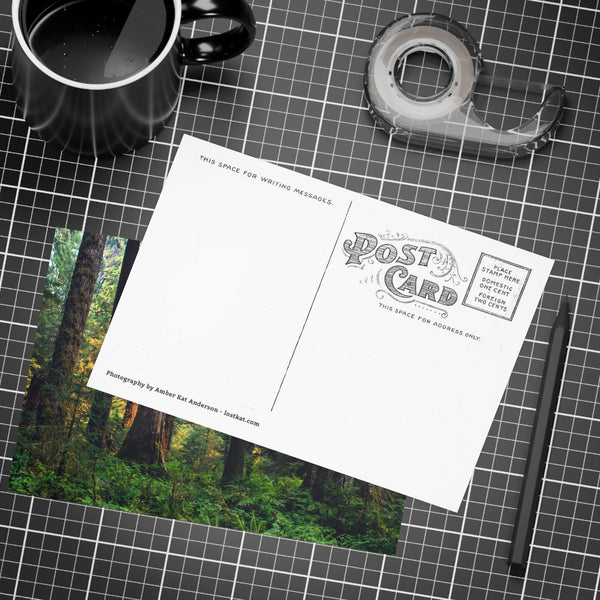 Olympic National Park Cedar Forest Postcard Bundle - Postcrossing Deal