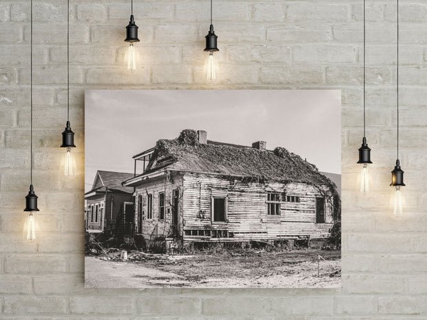 New Orleans House Photo Print, Abandoned Home, NoLa