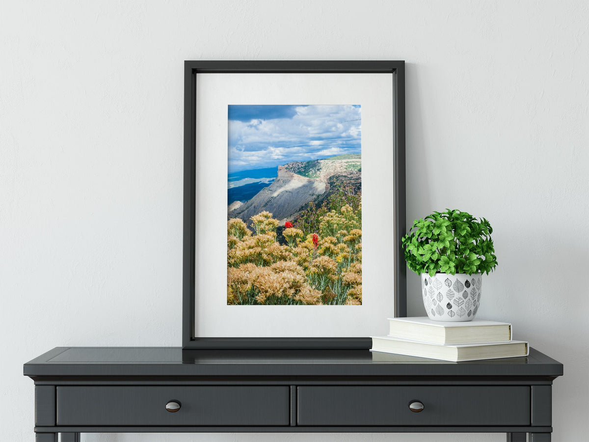 Mesa Verde Photo Print, Wildflowers in Colorado