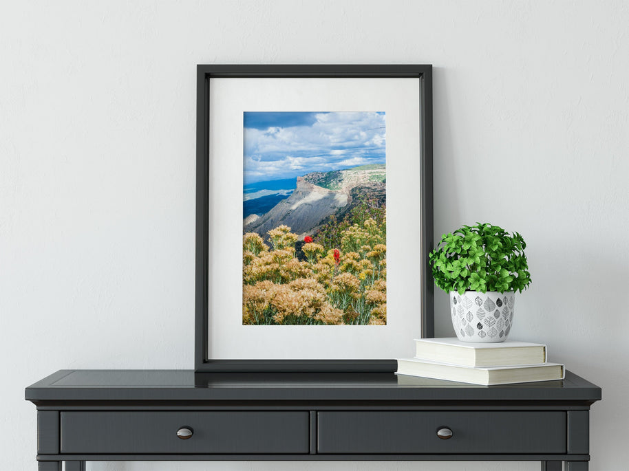 Mesa Verde Photo Print, Wildflowers in Colorado