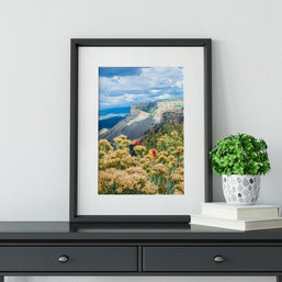Mesa Verde Photo Print, Wildflowers in Colorado