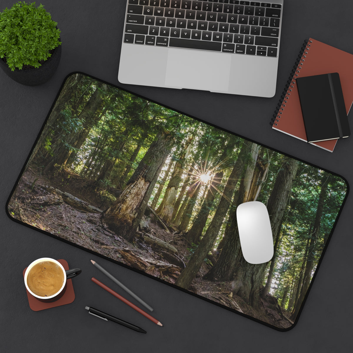 Cedar Forest Desk Mat - Sunlit Woods Gaming Mouse Pad - Extended Nature Keyboard Mat - Scenic Tree Workspace Decor