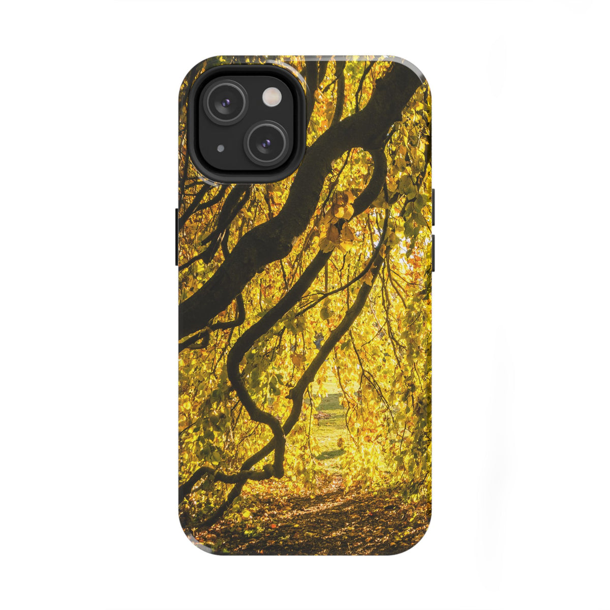 Yellow Leaves, Autumn Canopy Tough Phone Case - iPhone/Galaxy