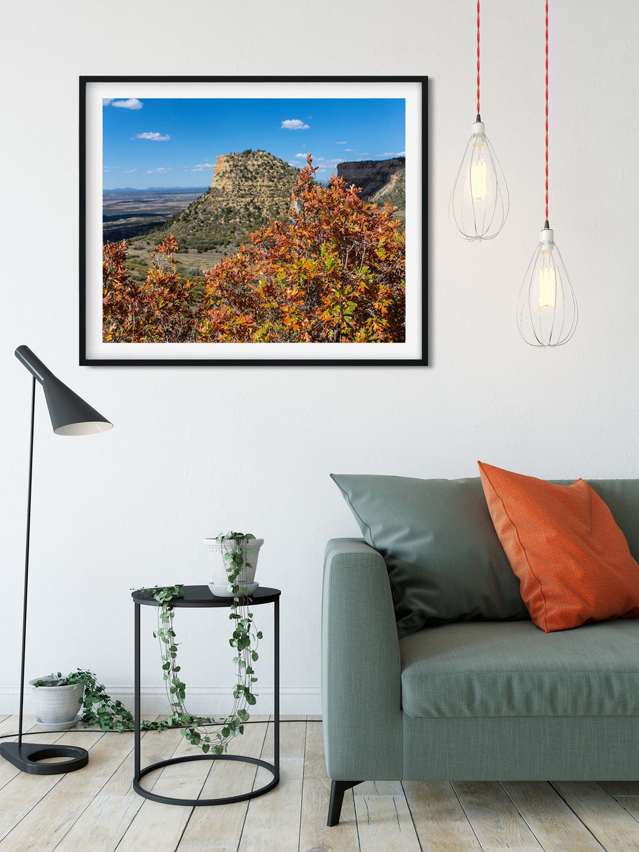 Mesa Verde Autumn Photo Print, Fall Colors, Southwest Nature Photography, Colorado, Oak Trees