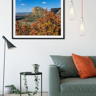 Mesa Verde Autumn Photo Print, Fall Colors, Southwest Nature Photography, Colorado, Oak Trees