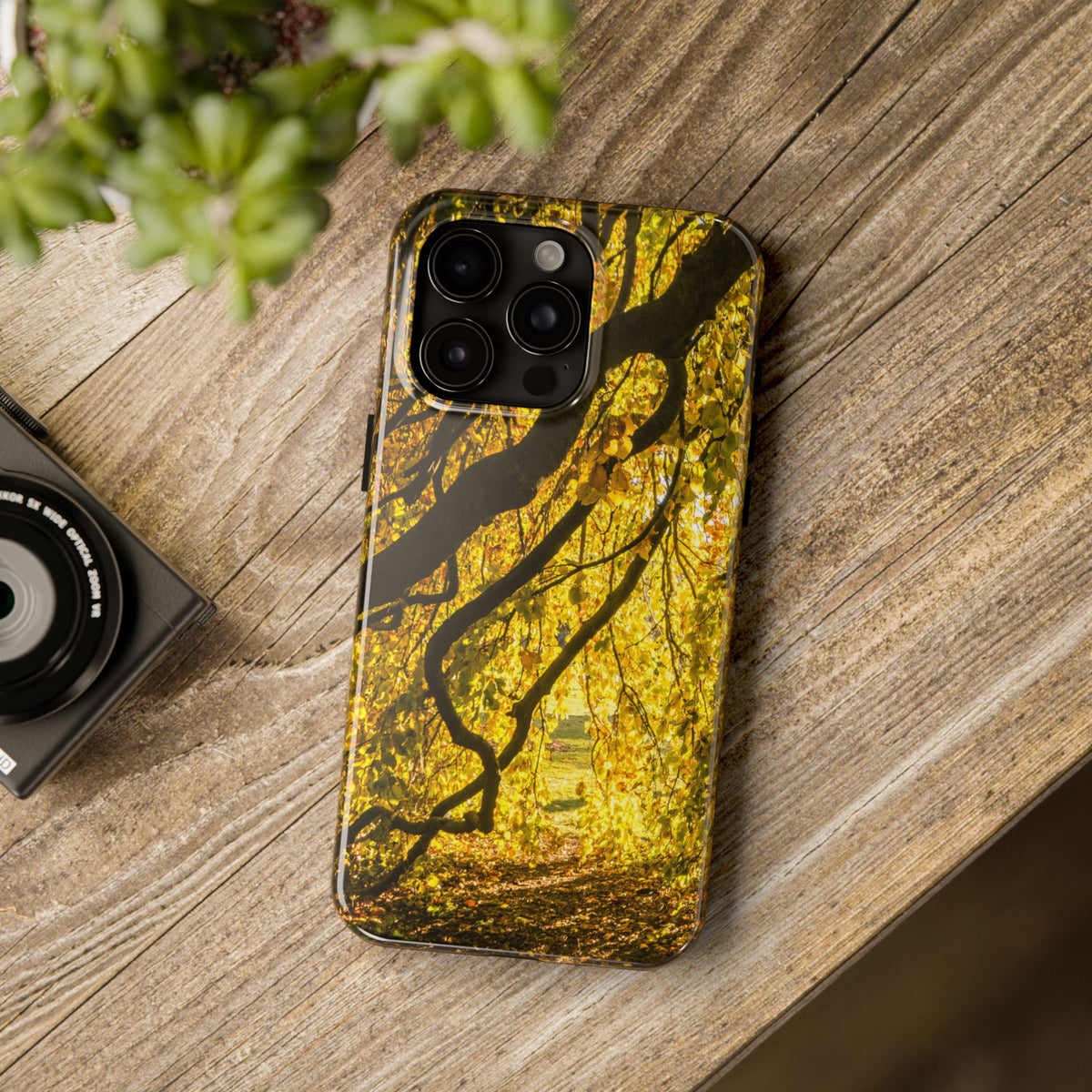 Yellow Leaves, Autumn Canopy Tough Phone Case - iPhone/Galaxy