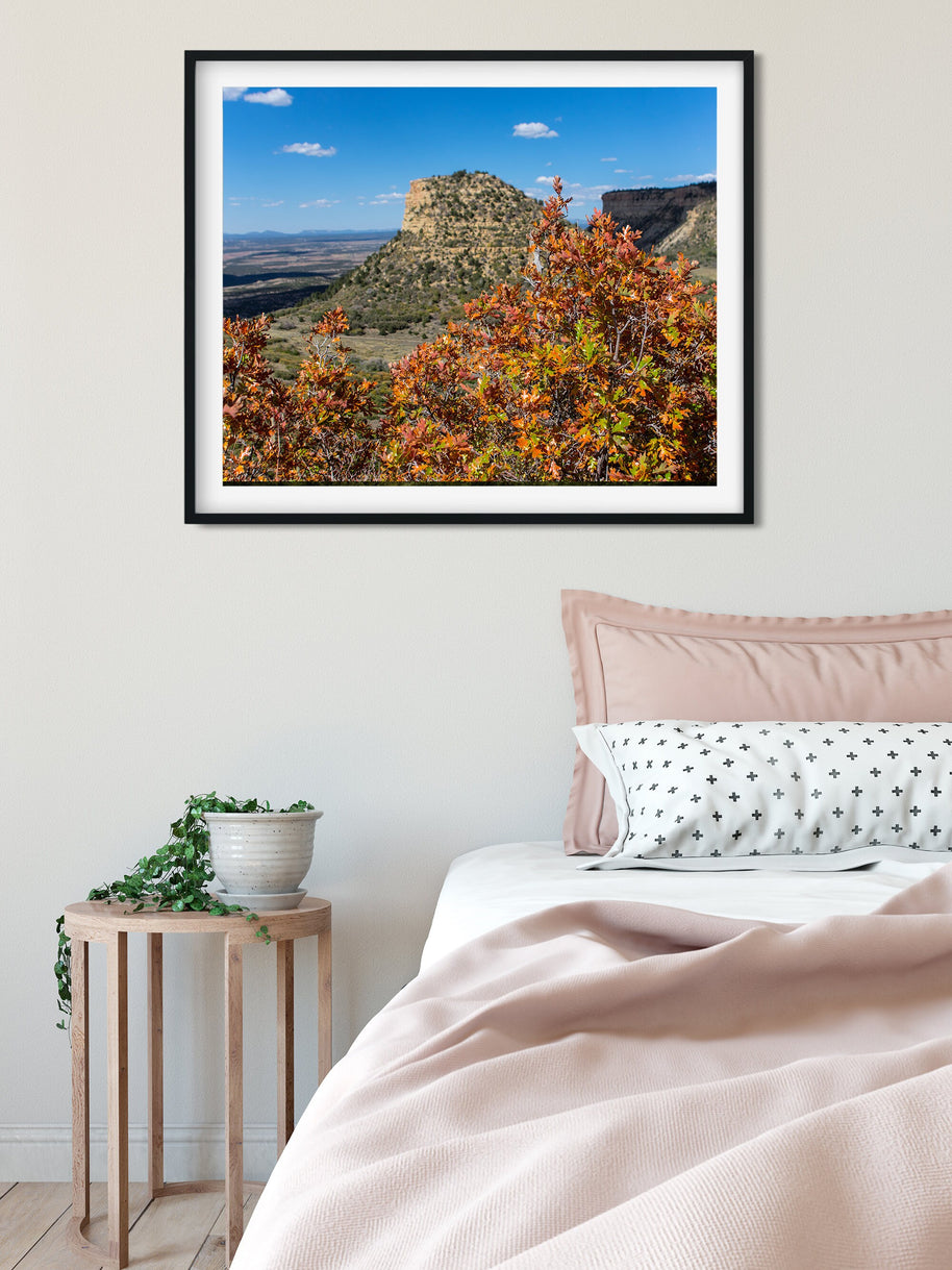 Mesa Verde Autumn Photo Print, Fall Colors, Southwest Nature Photography, Colorado, Oak Trees