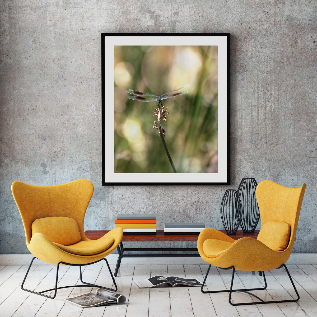 Dragonfly Photo Print, Montana Nature Photography, Insect Art