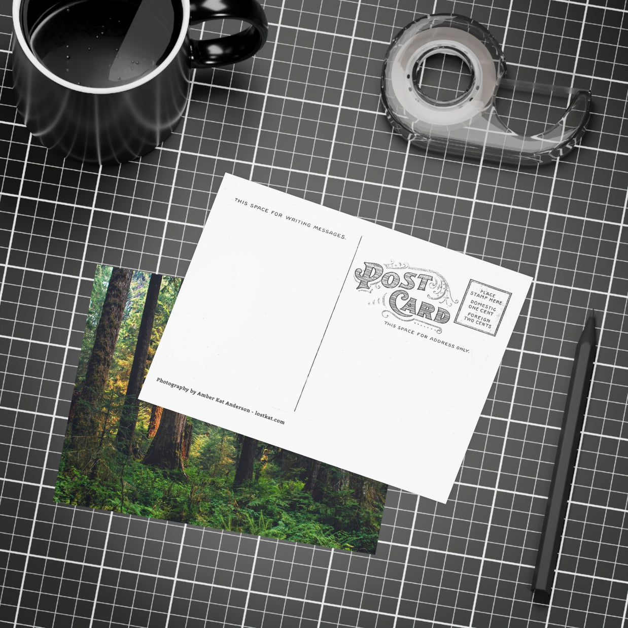 Olympic National Park Cedar Forest Postcard Bundle - Postcrossing Deal