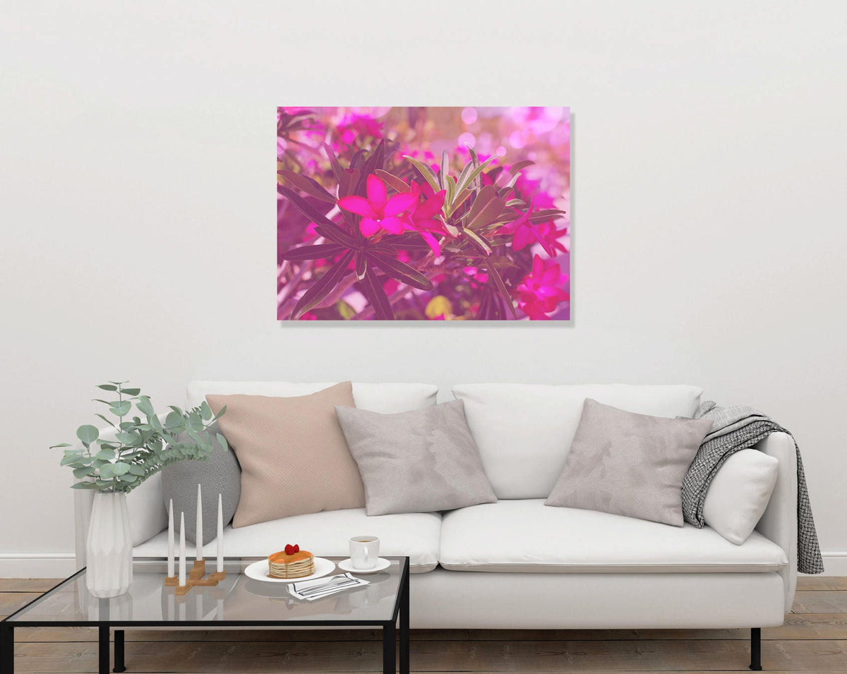 Desert Rose Art Print, Arizona Nature Photography, Floral Wall Decor