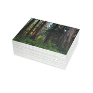 Olympic National Park Cedar Forest Postcard Bundle - Postcrossing Deal