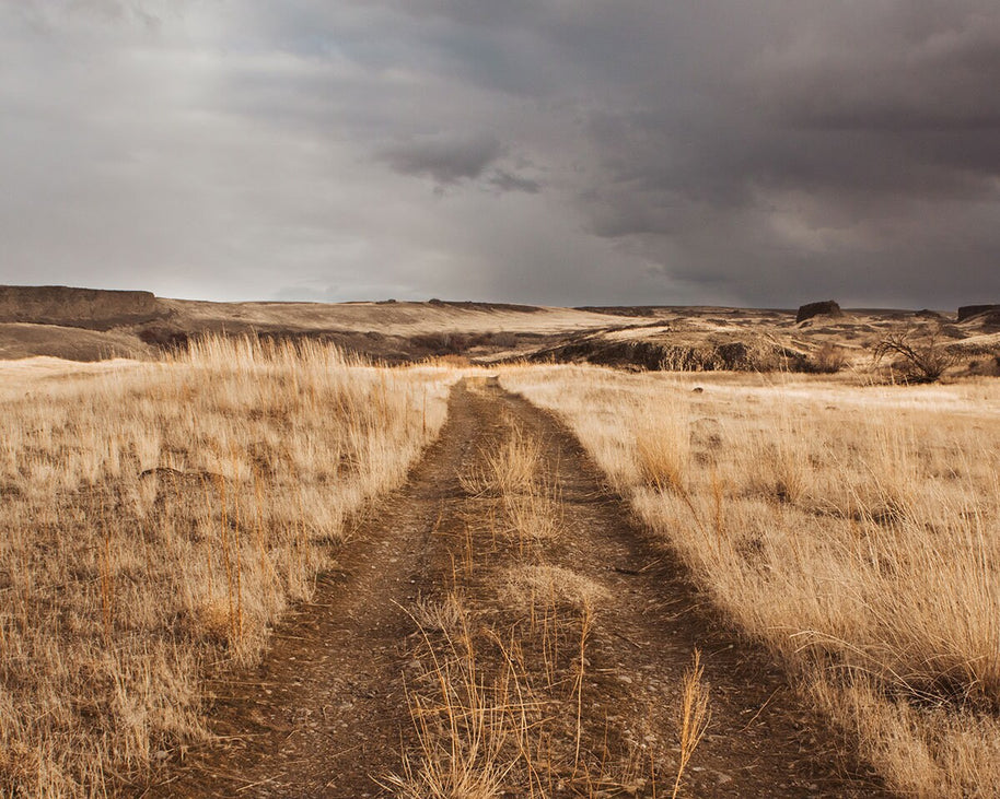 Palouse Washington Ranch Road Photo Print, Stormy Day Western Art