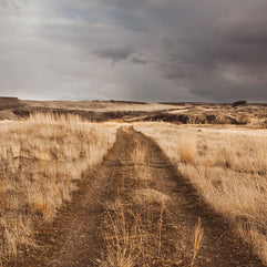 Palouse Washington Ranch Road Photo Print, Stormy Day Western Art