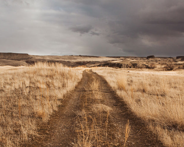 Palouse Washington Ranch Road Photo Print, Stormy Day Western Art