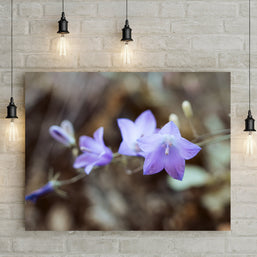 Bluebell Photo Print, Floral Photography, Nature Wall Art, Purple Decor, Botanical Art
