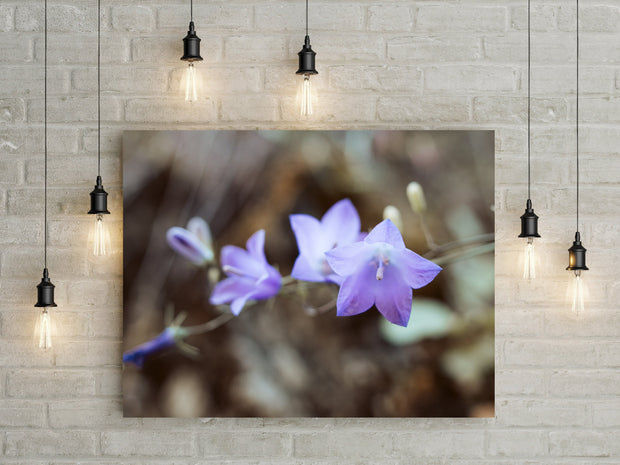 Bluebell Photo Print, Floral Photography, Nature Wall Art, Purple Decor, Botanical Art