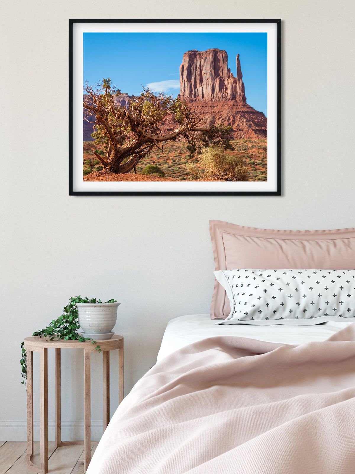 Monument Valley Photo Print, Juniper Tree, Arizona Wall Art