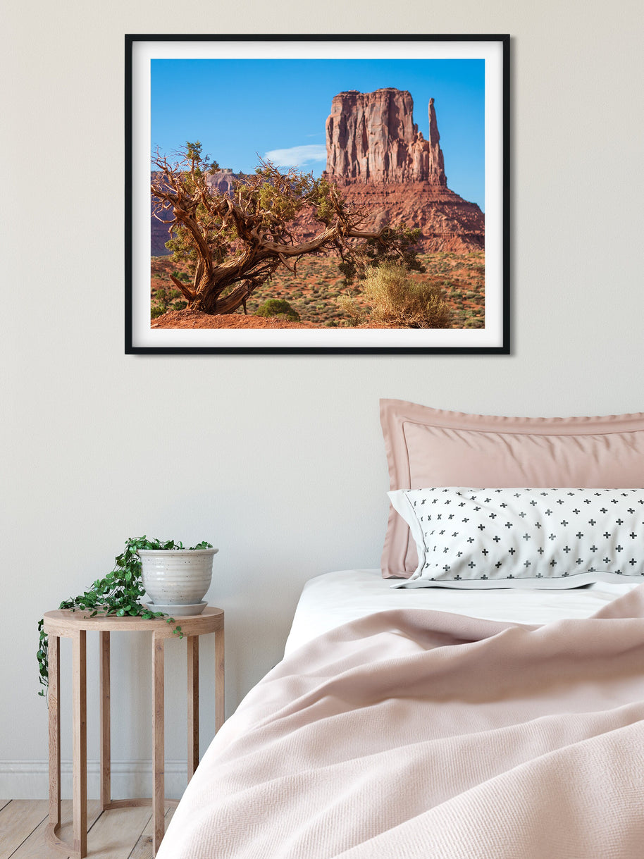 Monument Valley Photo Print, Juniper Tree, Arizona Wall Art
