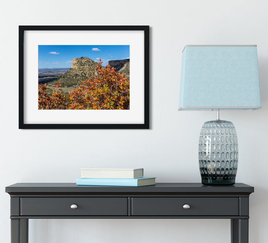 Mesa Verde Autumn Photo Print, Fall Colors, Southwest Nature Photography, Colorado, Oak Trees