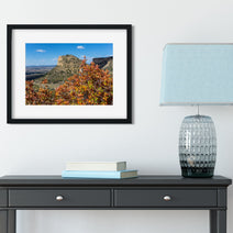 Mesa Verde Autumn Photo Print, Fall Colors, Southwest Nature Photography, Colorado, Oak Trees