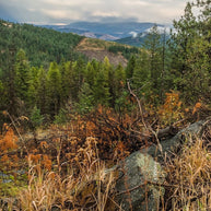 Colville National Forest Photography Print, Autumn Wilderness View