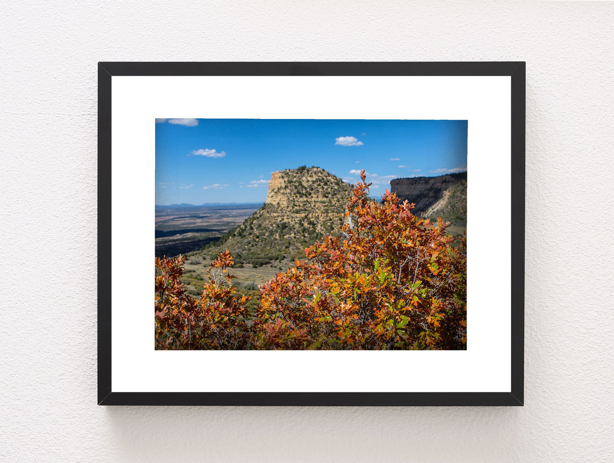 Mesa Verde Autumn Photo Print, Fall Colors, Southwest Nature Photography, Colorado, Oak Trees