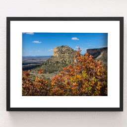 Mesa Verde Autumn Photo Print, Fall Colors, Southwest Nature Photography, Colorado, Oak Trees