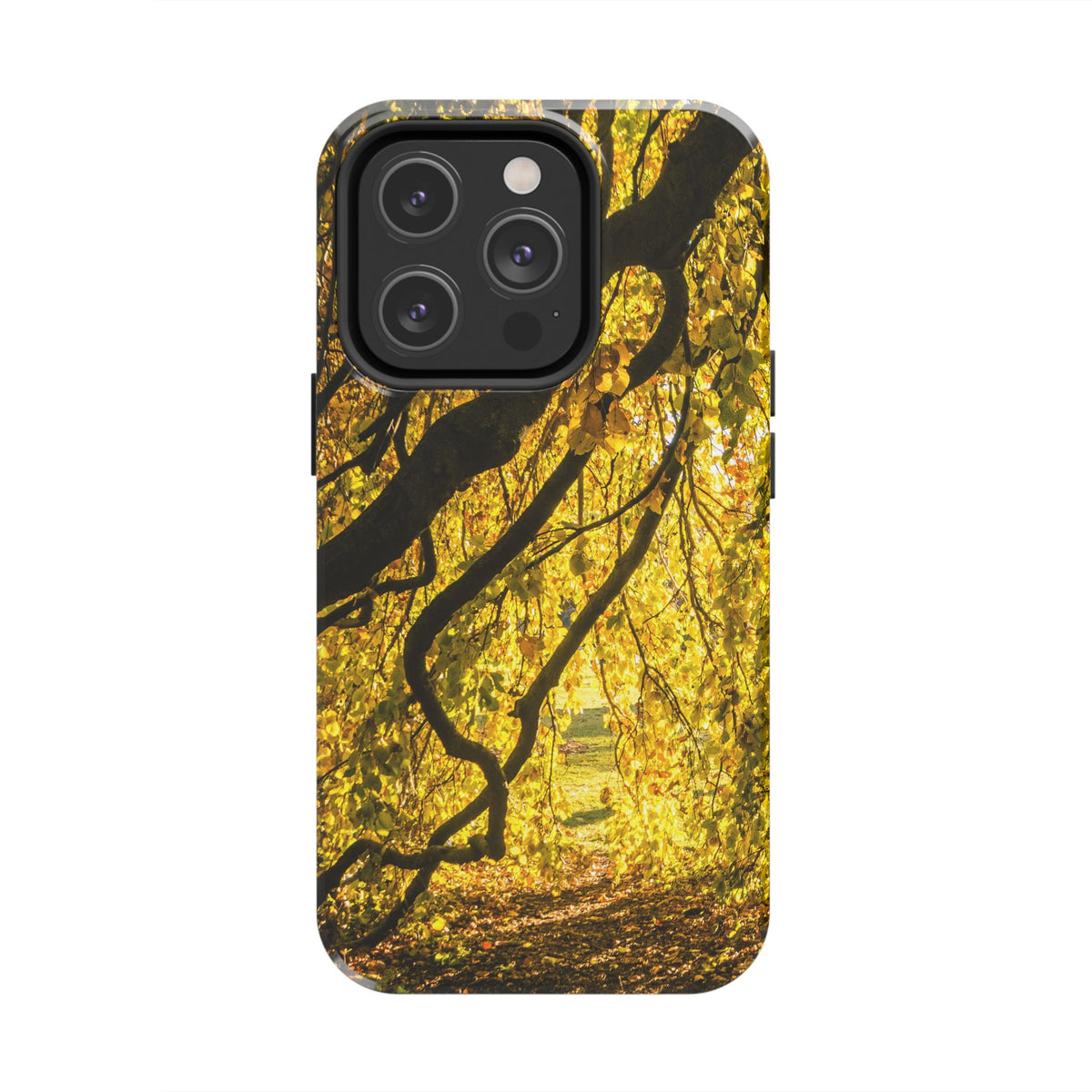 Yellow Leaves, Autumn Canopy Tough Phone Case - iPhone/Galaxy