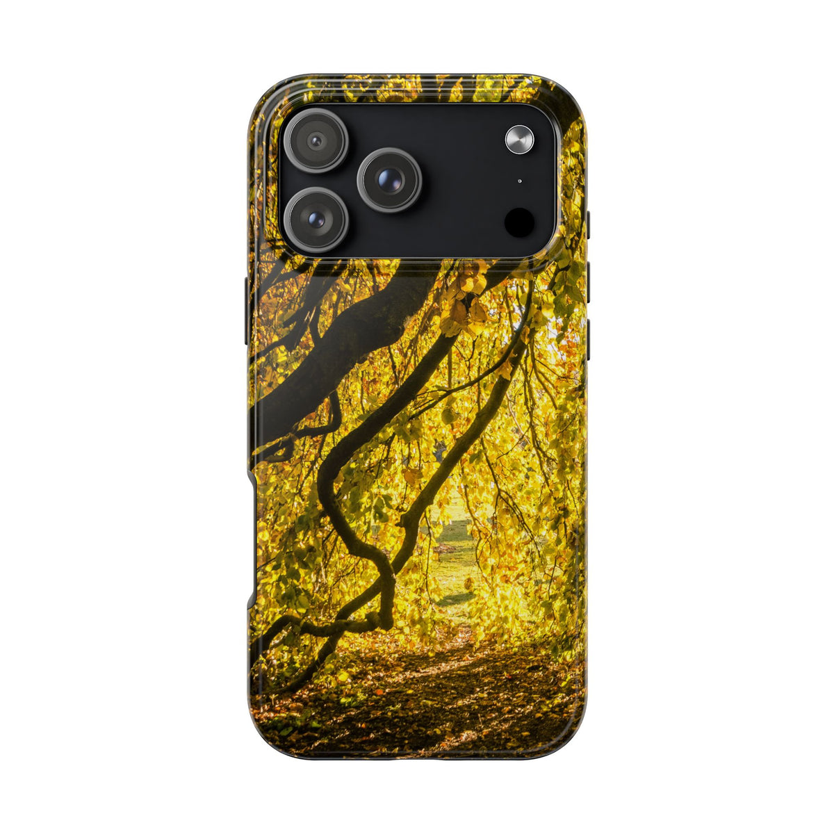 Yellow Leaves, Autumn Canopy Tough Phone Case - iPhone/Galaxy
